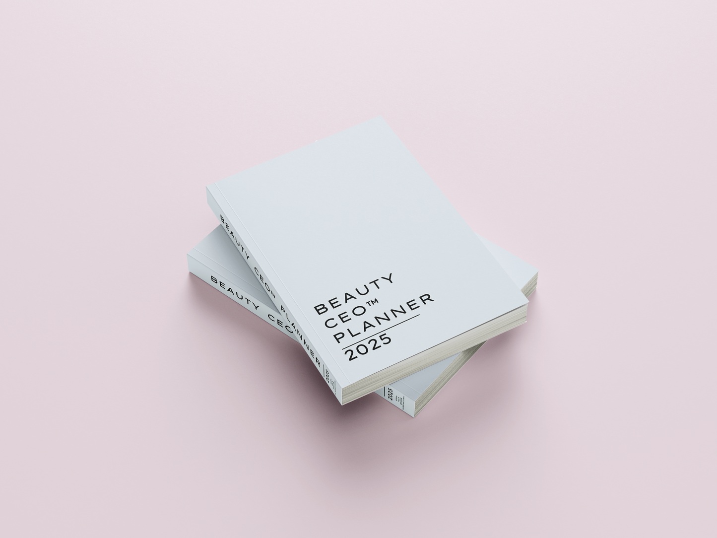 BEAUTY CEO™ PLANNER 2025 | Grey